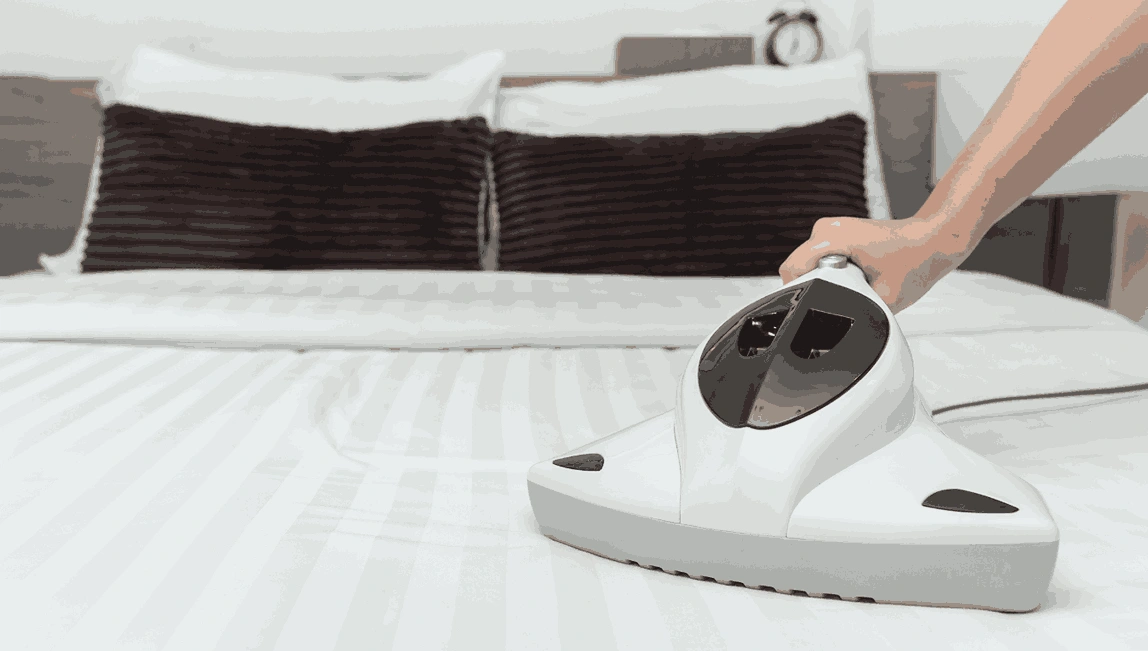 Professional Mattress Cleaning Bulleen
